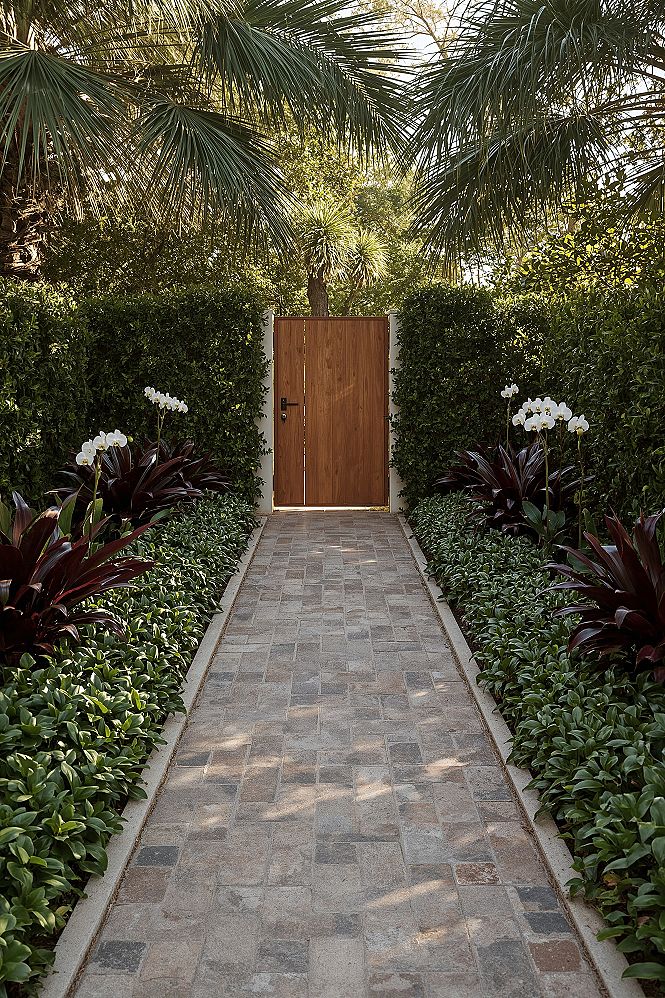 Elevating Small Tropical Front Yard Landscaping with Exotic Details