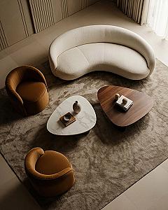 Modern Lounge Area with S Shape Sofas: High-End Apartment Style