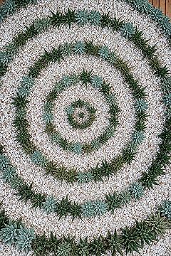 Artistic Backyard Rock Designs for Succulent Lovers
