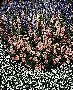 Enchanting Cottagecore Garden: A Perennial Bloom Paradise