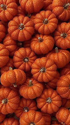 Textured Mini Pumpkin Wallpapers for Fall Phones