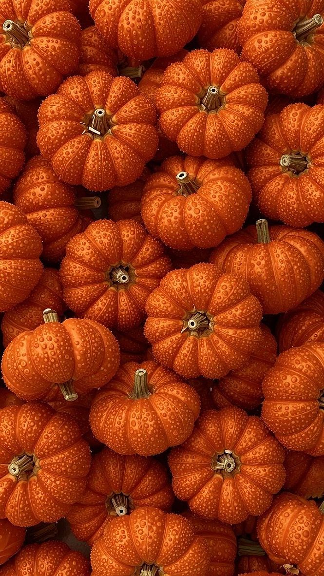Textured Mini Pumpkin Wallpapers for Fall Phones