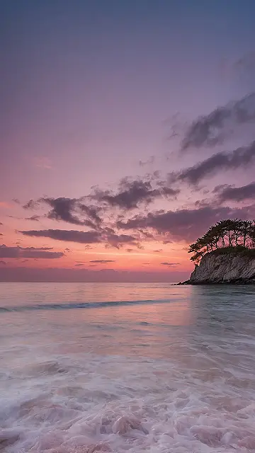 Petal Perfect Device