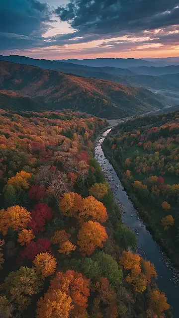 Autumn’s Golden Canvas