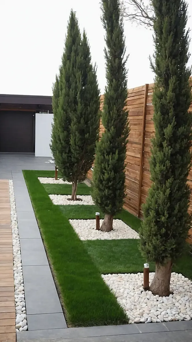 Forest Floor Fashion