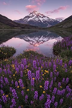 Spring Mountain Majesty: iPhone Nature Wallpaper HD