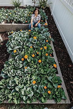 Cinder Block Raised Garden Ideas: Backyard Veggie Patch Bliss
