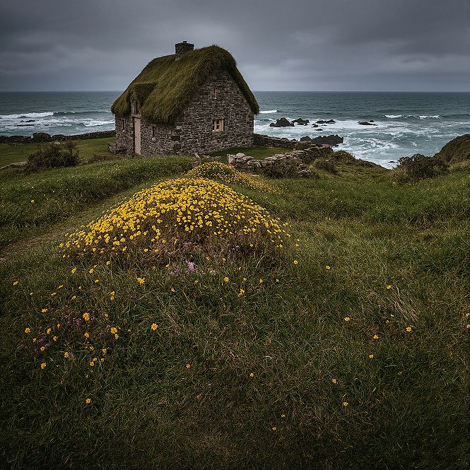 Ireland's Dreamy Cottagecore Fantasy: Coastal Charm & Wildflowers