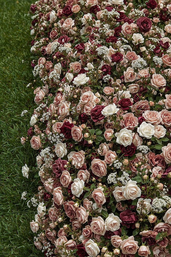 Chic English Rose Garden: Backyard Landscaping with Pretty Flowers