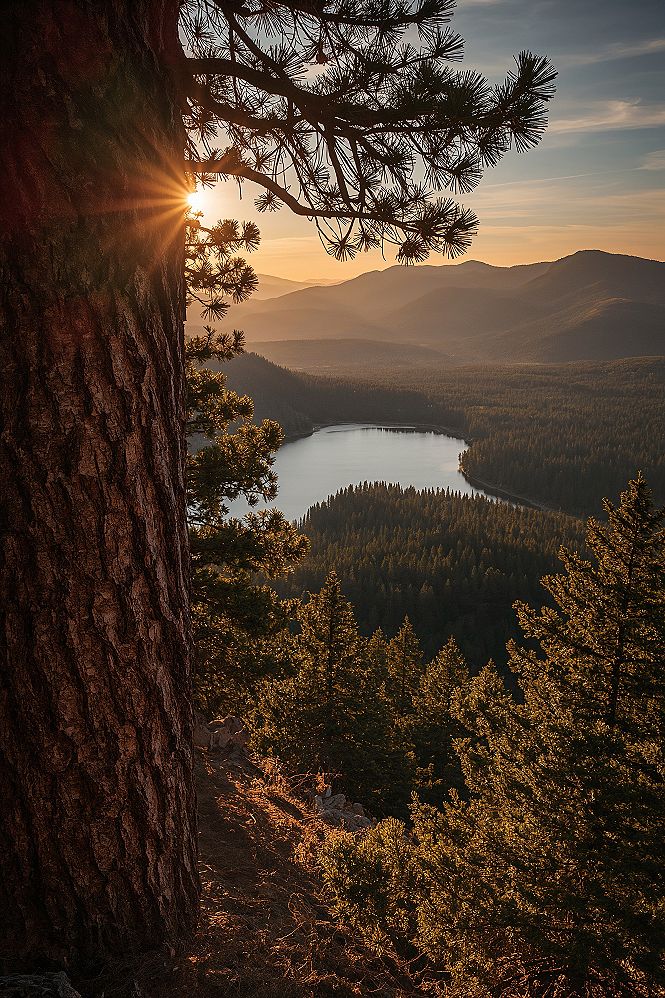 Serene Lake Reflections: Peaceful Forest and Mountain Nature Scenes