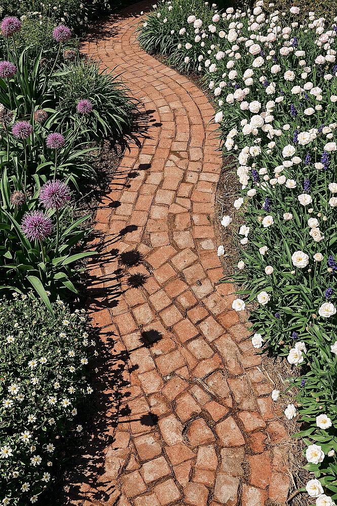 Charming Front Yard Garden: English Cottage Landscaping with Alliums & Brick Paths