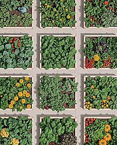 Raised Bed Garden Planning Guide for Bountiful Harvests
