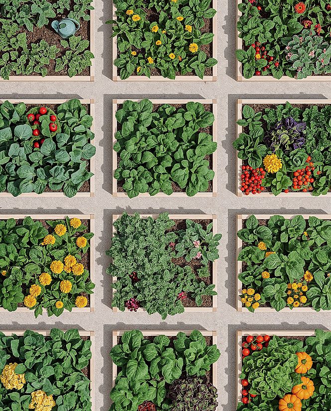 Raised Bed Garden Planning Guide for Bountiful Harvests