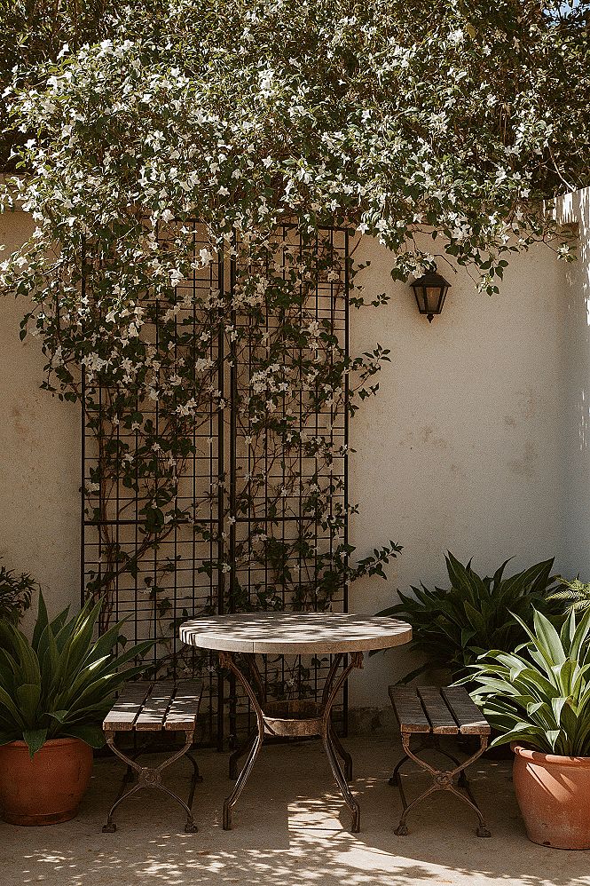 Trellis Privacy Wall: Modern Courtyard & Patio Inspiration