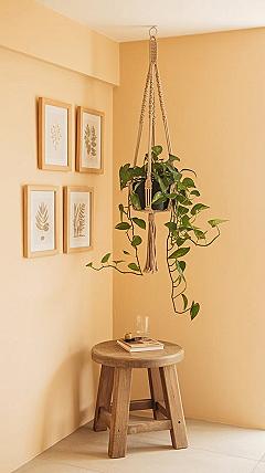 Small Corner Decorating Ideas: Cozy Room Accents & Wall Art