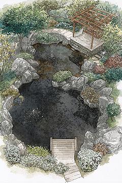 Serene Japanese Garden Design Plans with a Tranquil Pond