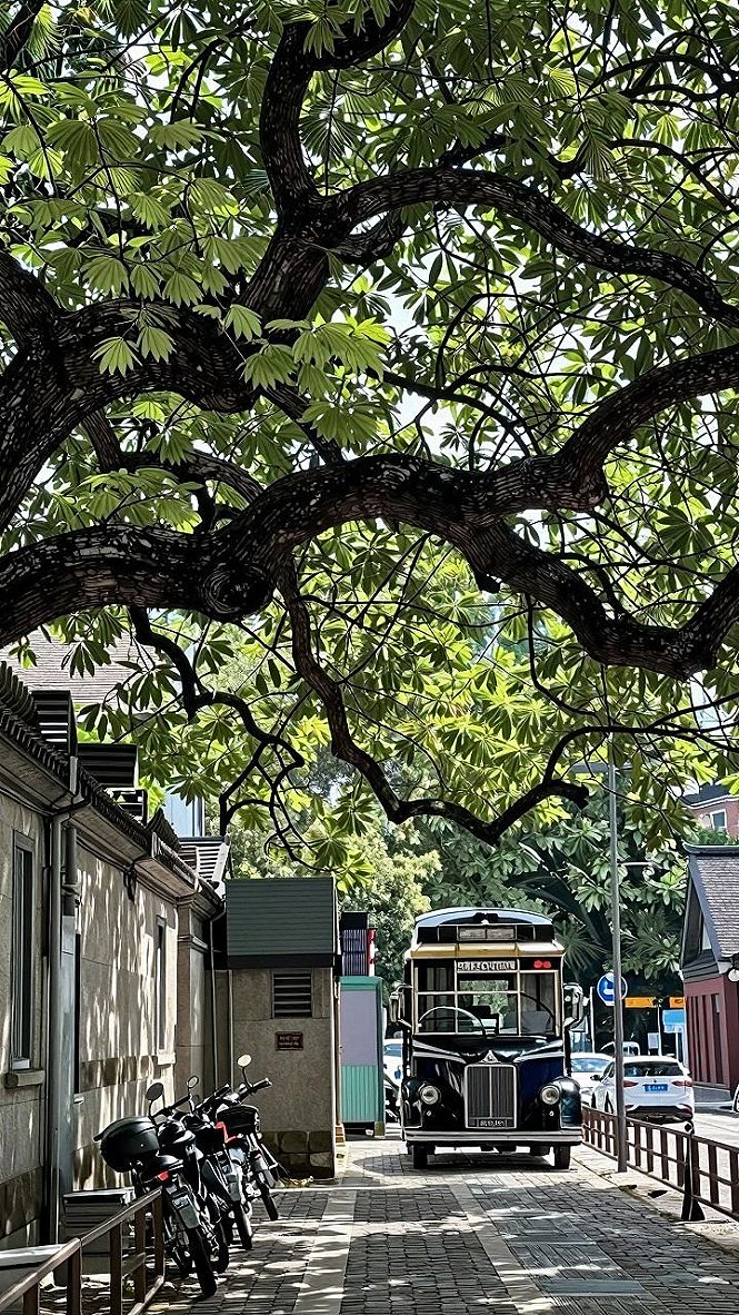 Styling Urban Transit and Leafy Canopy iPhone Wallpapers