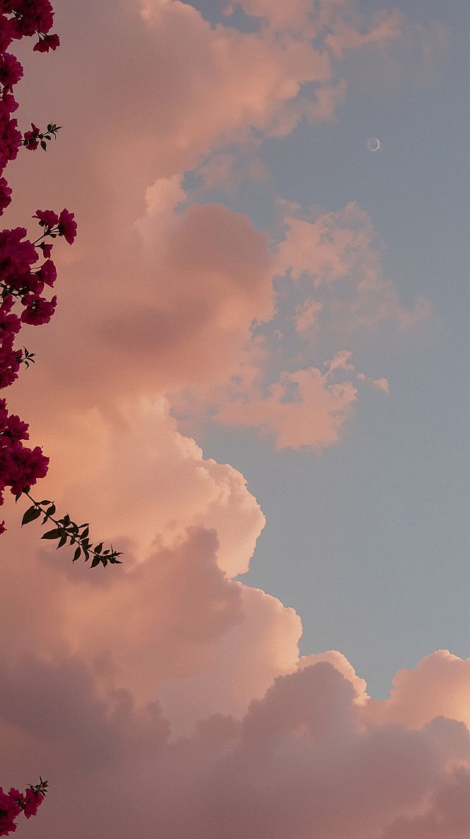 Pink Floral Sunset: Aesthetic Laptop Display Wallpaper