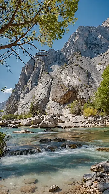 2025’s Wild Calling