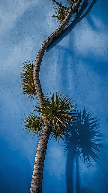 Azure Leaf Sanctuary