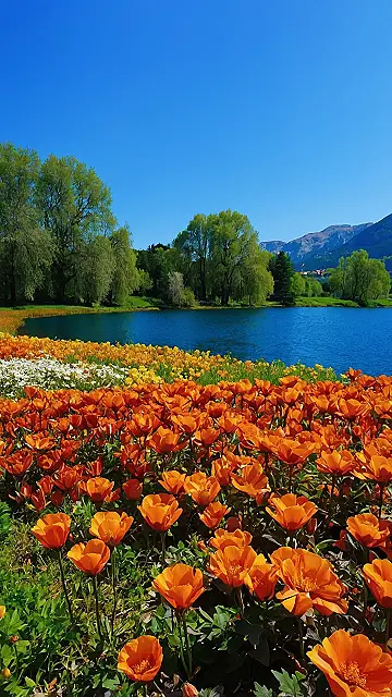 Floral European Charms