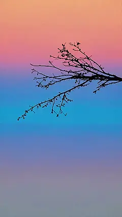 Aura Adorned Screens