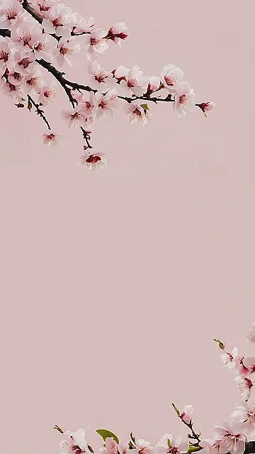 Sakura Dreamscape