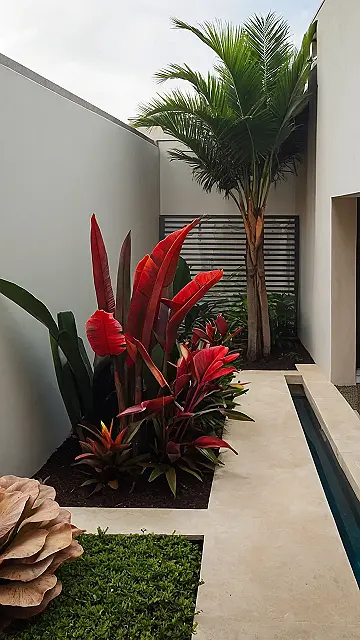 Paradise Pocket: