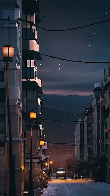 Snowy Anime Nights