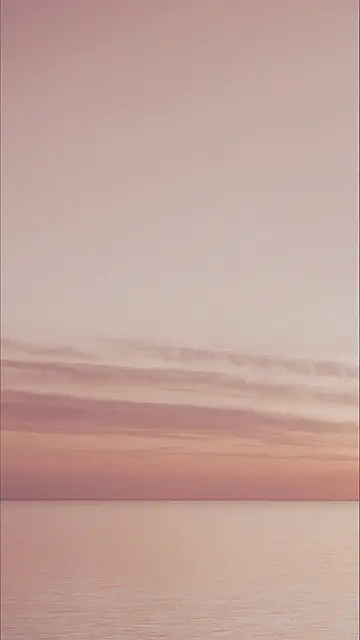 Pretty in Pink Paradise