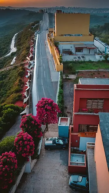 Zenith Views