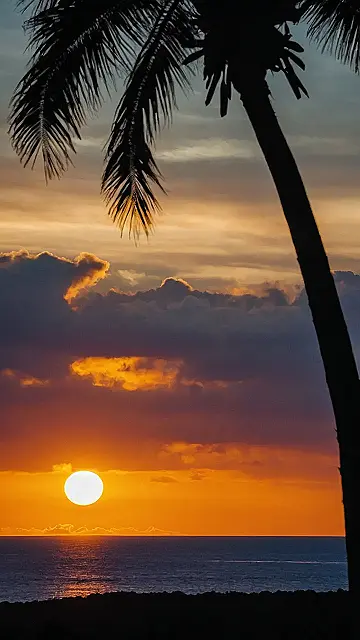 “Palm Tree’s Last Look”: