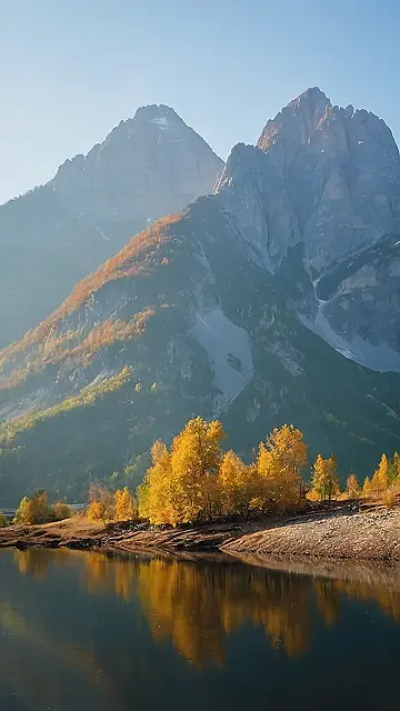 Dreamscape Stream