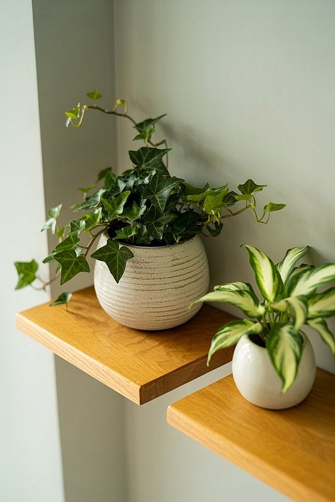 Dream Home Decor: Stunning Vertical Plant Wall Ideas