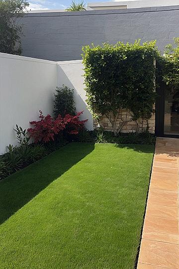 Designing a Small Courtyard Lawn Space