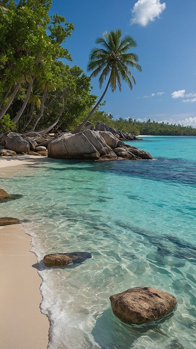 Designing a Relaxing Tropical Beach Escape at Home