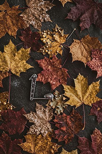 Decorate Your Screen With Fallen Maple Leaves