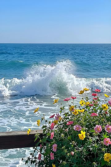 Finding Coastal Spots With Ocean Views And Flowers