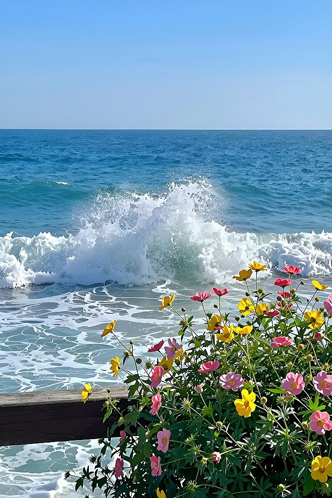 Finding Coastal Spots With Ocean Views And Flowers