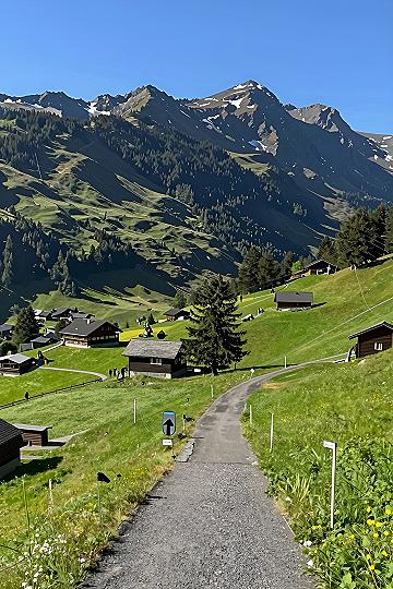Choosing Your Alpine Walking Path