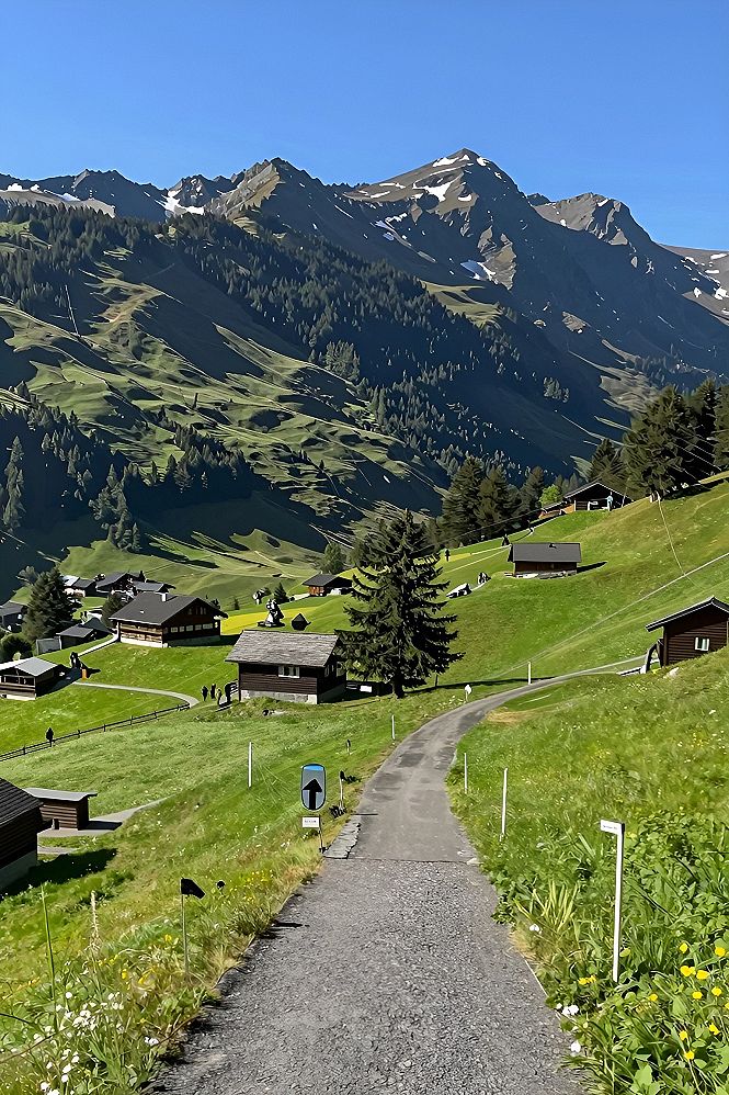 Choosing Your Alpine Walking Path