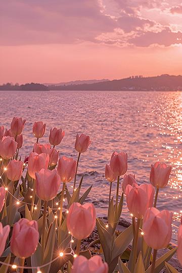 Designing with Twilight Waterfront Tulip Wallpaper