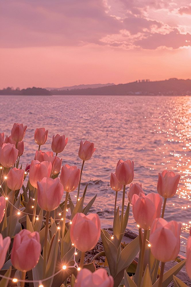 Designing with Twilight Waterfront Tulip Wallpaper