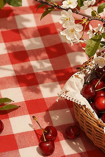 Bringing Red Gingham Patterns Into Your Summer Decor