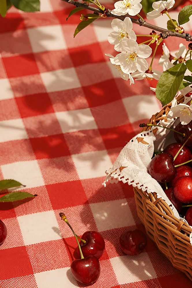 Bringing Red Gingham Patterns Into Your Summer Decor