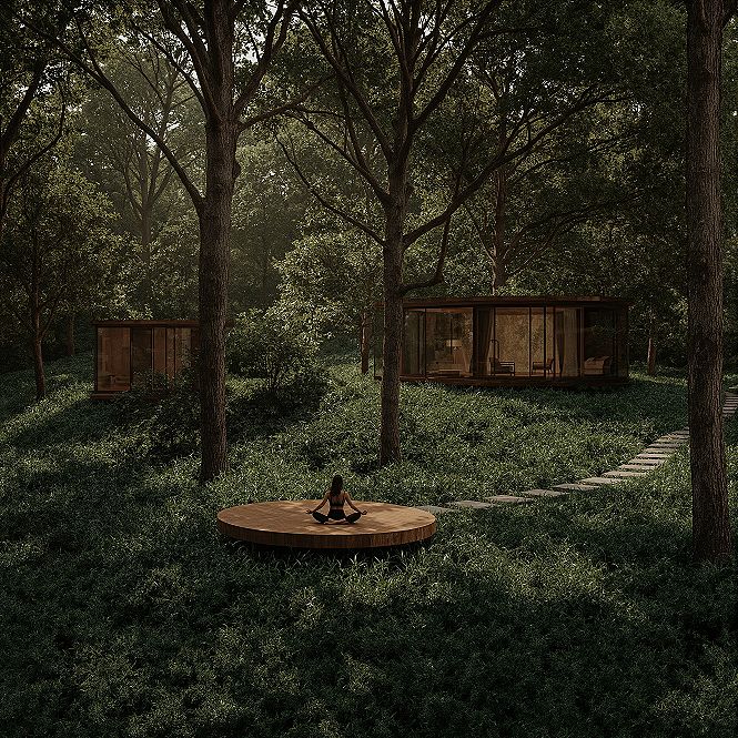 Create a Serene Forest Retreat Oasis with Lush Trees
