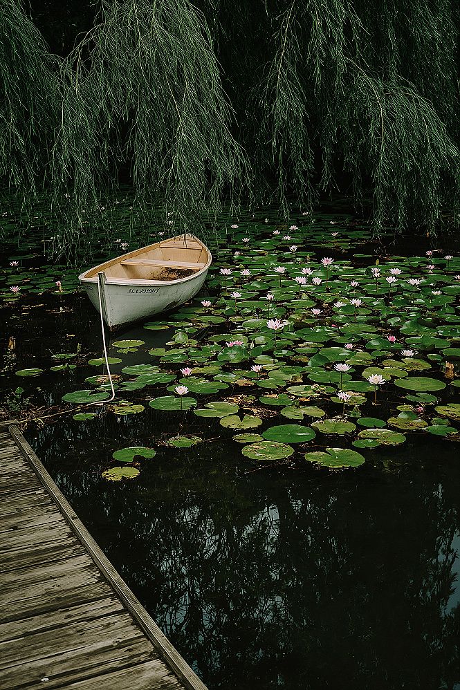 Whimsical Rowboat Scene: Vintage Flower Garden Aesthetic & Relaxing Landscapes