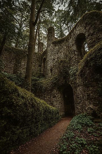 Portland’s Mysterious Witch’s Castle: A Journey Through Forest Park Ruins