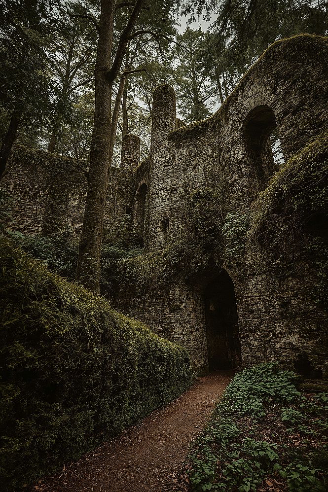Portland's Mysterious Witch's Castle: A Journey Through Forest Park Ruins