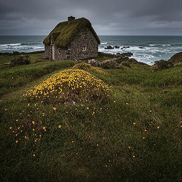 Ireland’s Dreamy Cottagecore Fantasy: Coastal Charm & Wildflowers